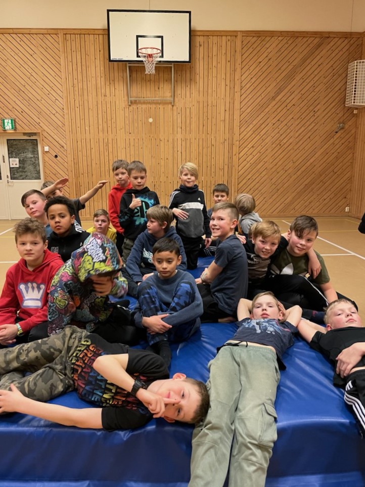 Bild av pojkar i gymnastiksal
